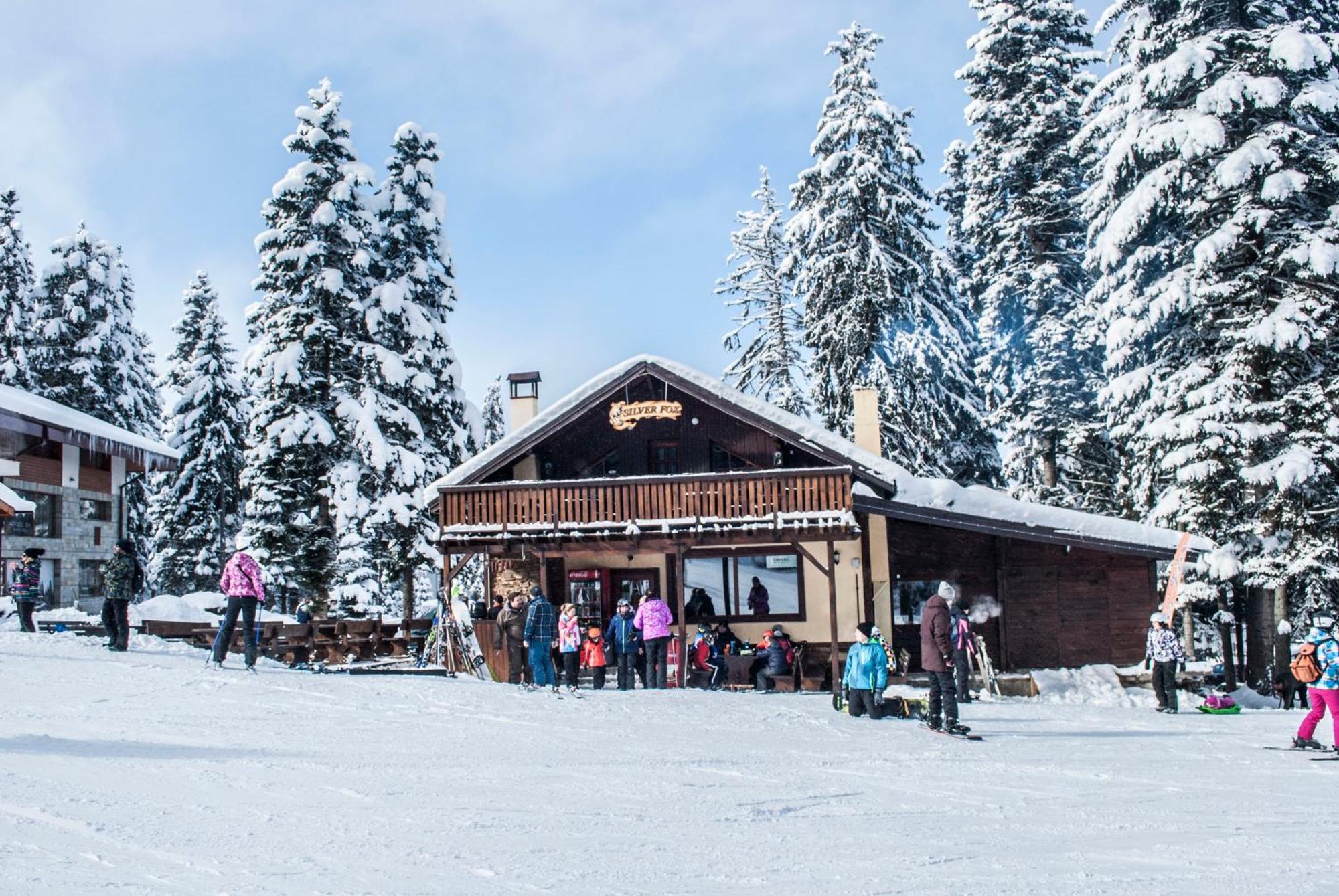 Villa Alpine Ski Chalet Borovets With Sauna Exterior foto