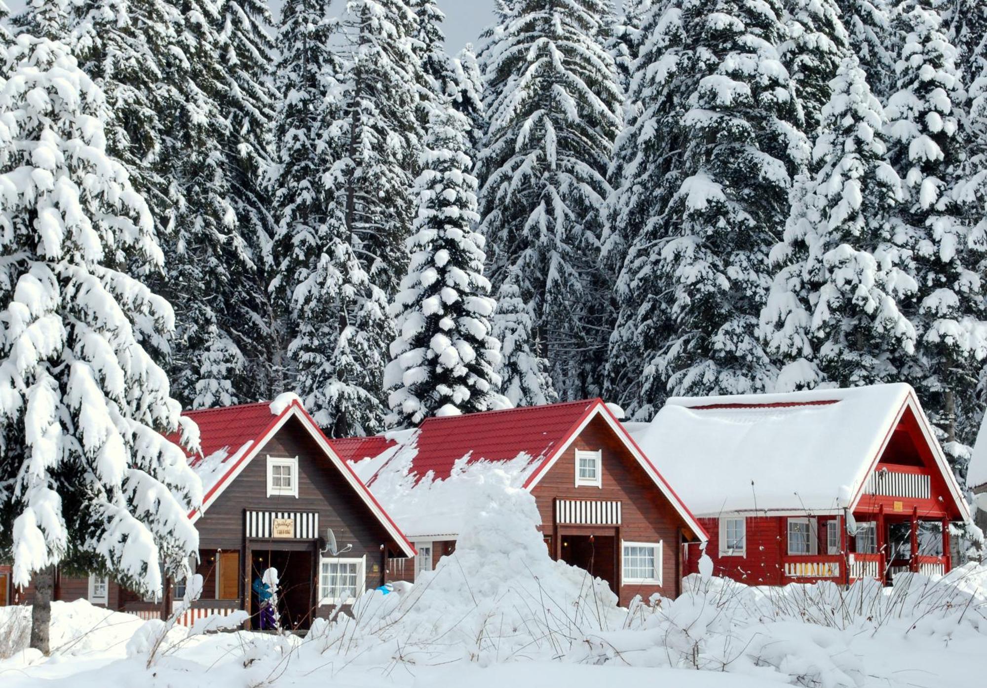 Villa Alpine Ski Chalet Borovets With Sauna Exterior foto