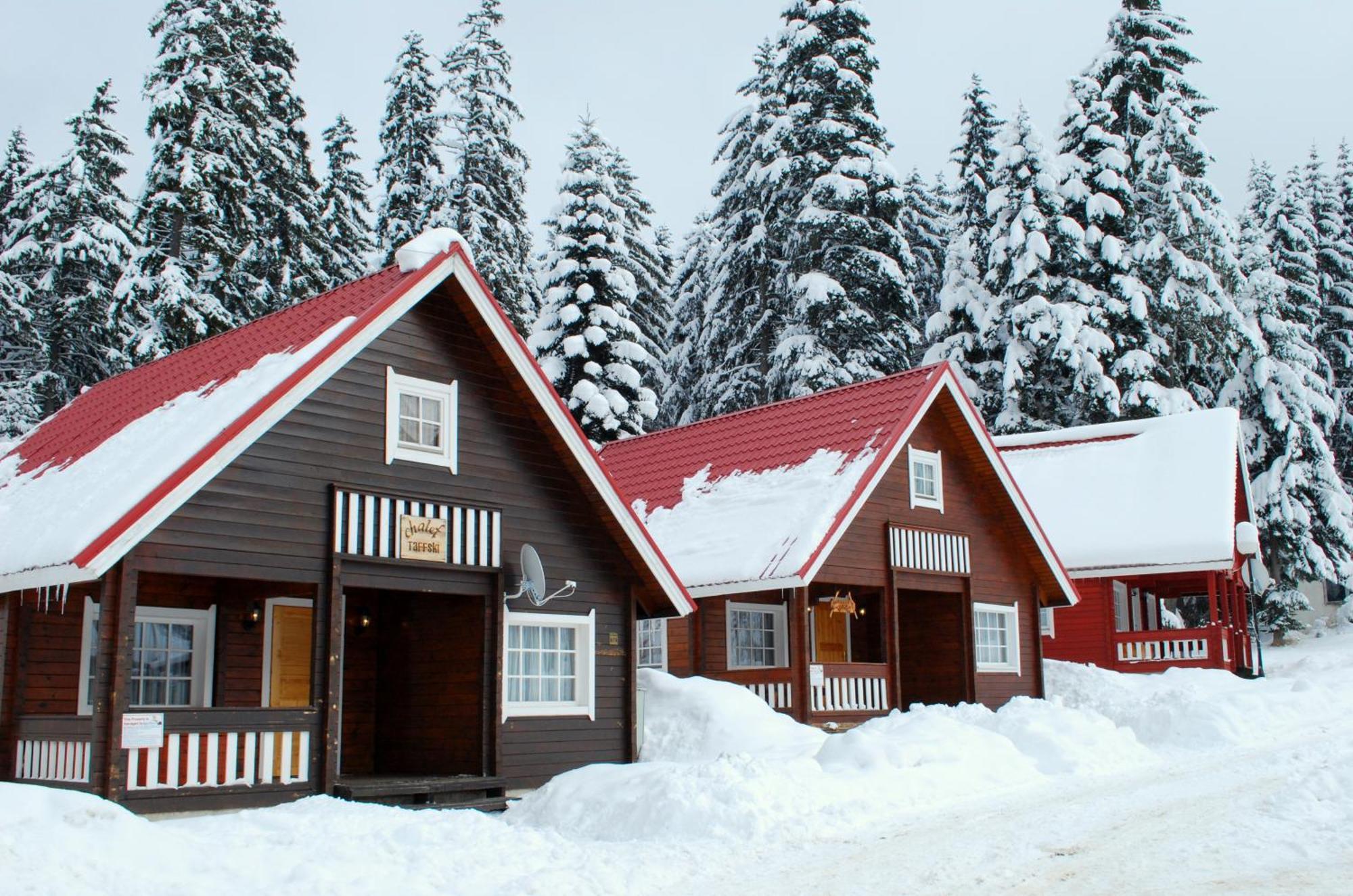 Alpine Ski Chalet Borovets With Sauna Exterior foto